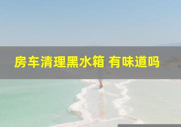 房车清理黑水箱 有味道吗